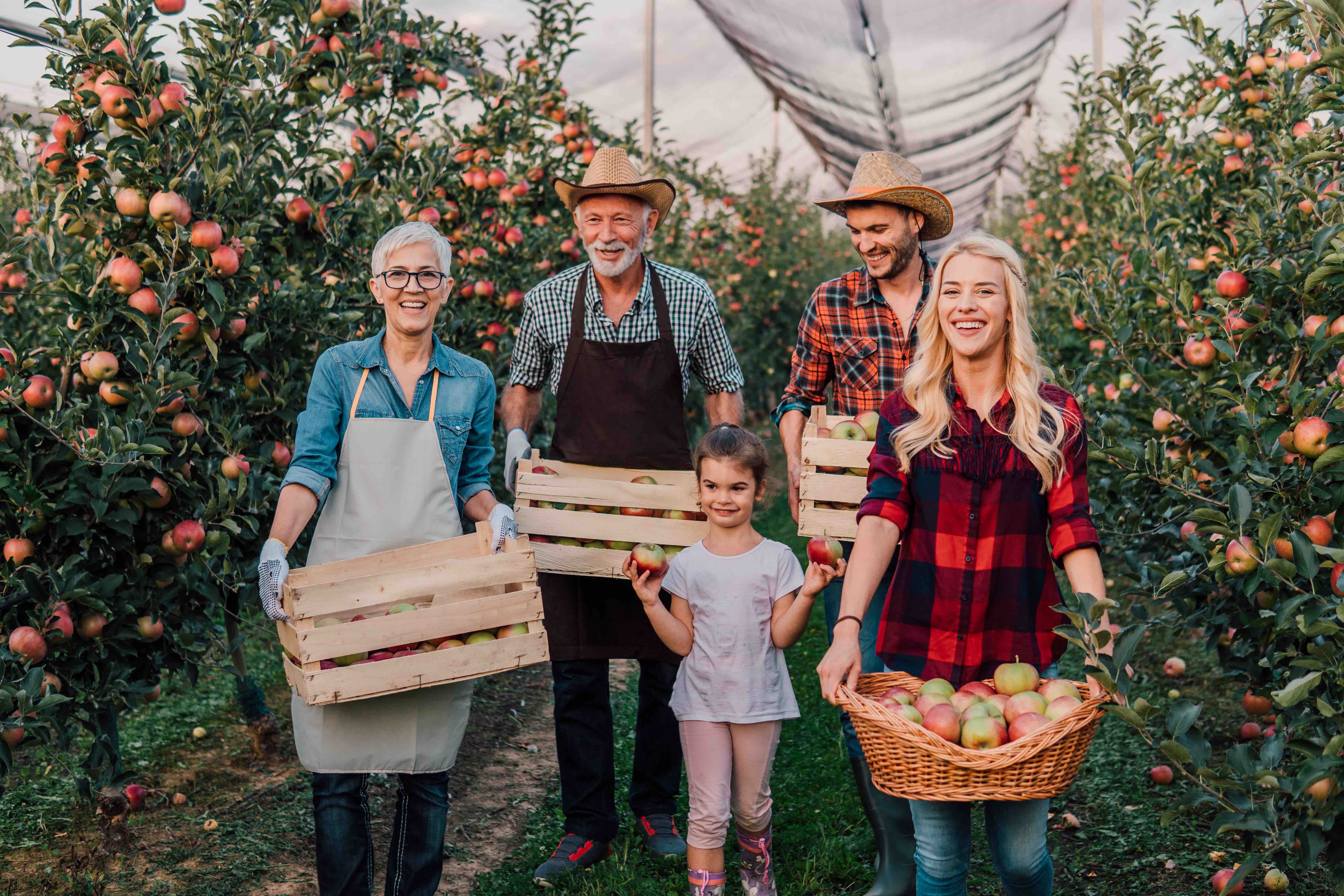 multigenerational family at orchard